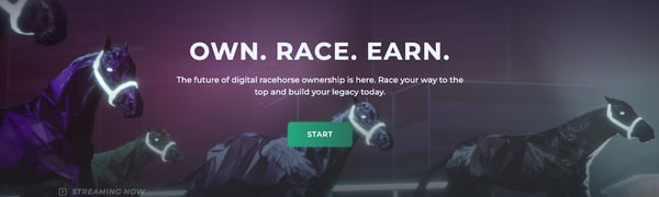 Zed Run homepage screenshot